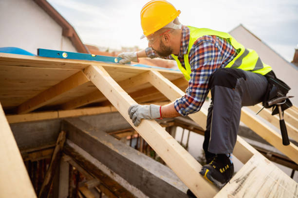 Best Roof Gutter Cleaning  in Harker Heights, TX
